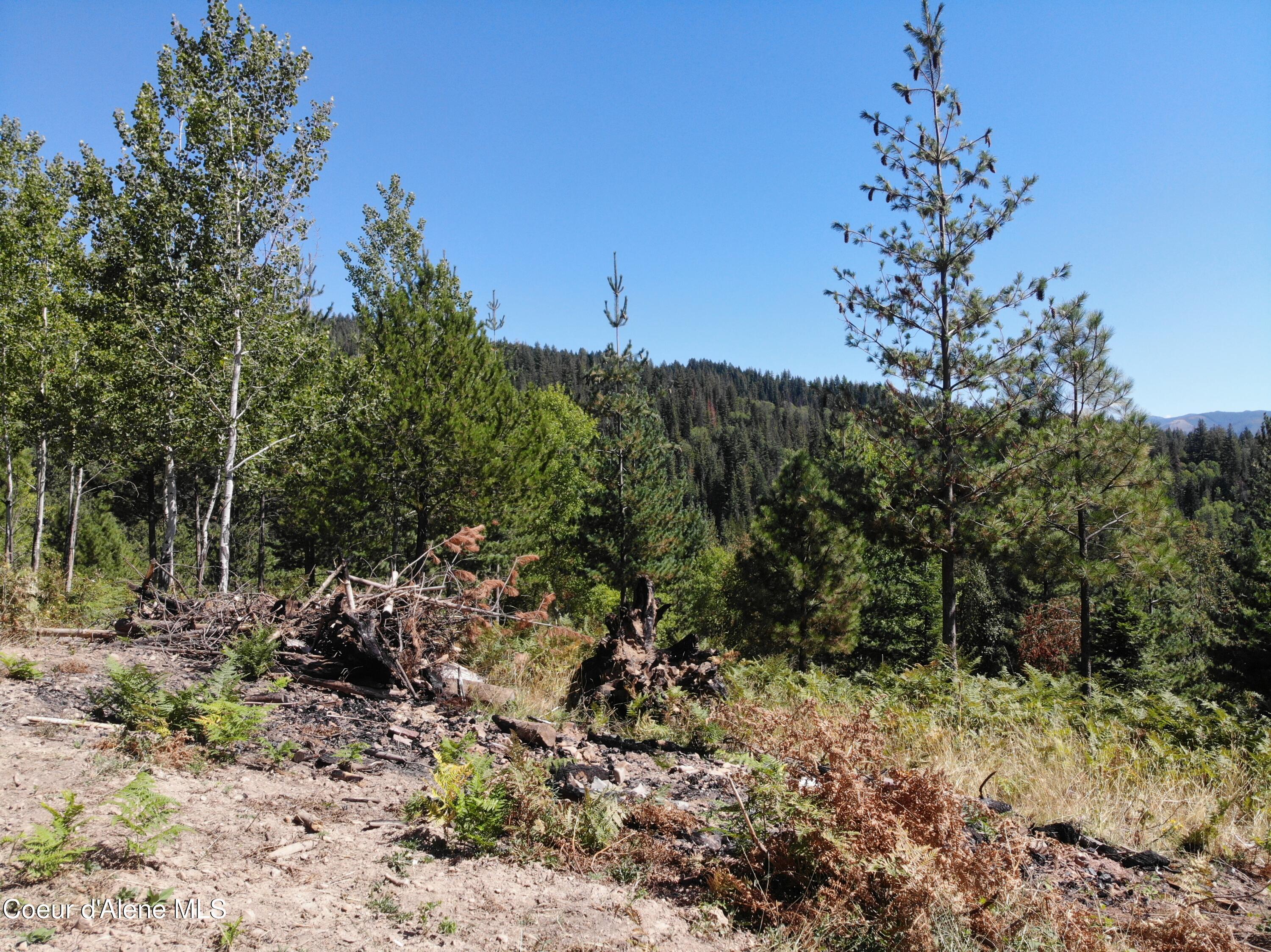 905 Terror Gulch Road Osburn, ID 83849 - Photo 19 of 31 DJI_0408