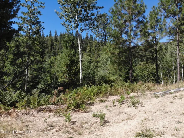 $449,000 | 905 Terror Gulch Road, Osburn, ID 83849