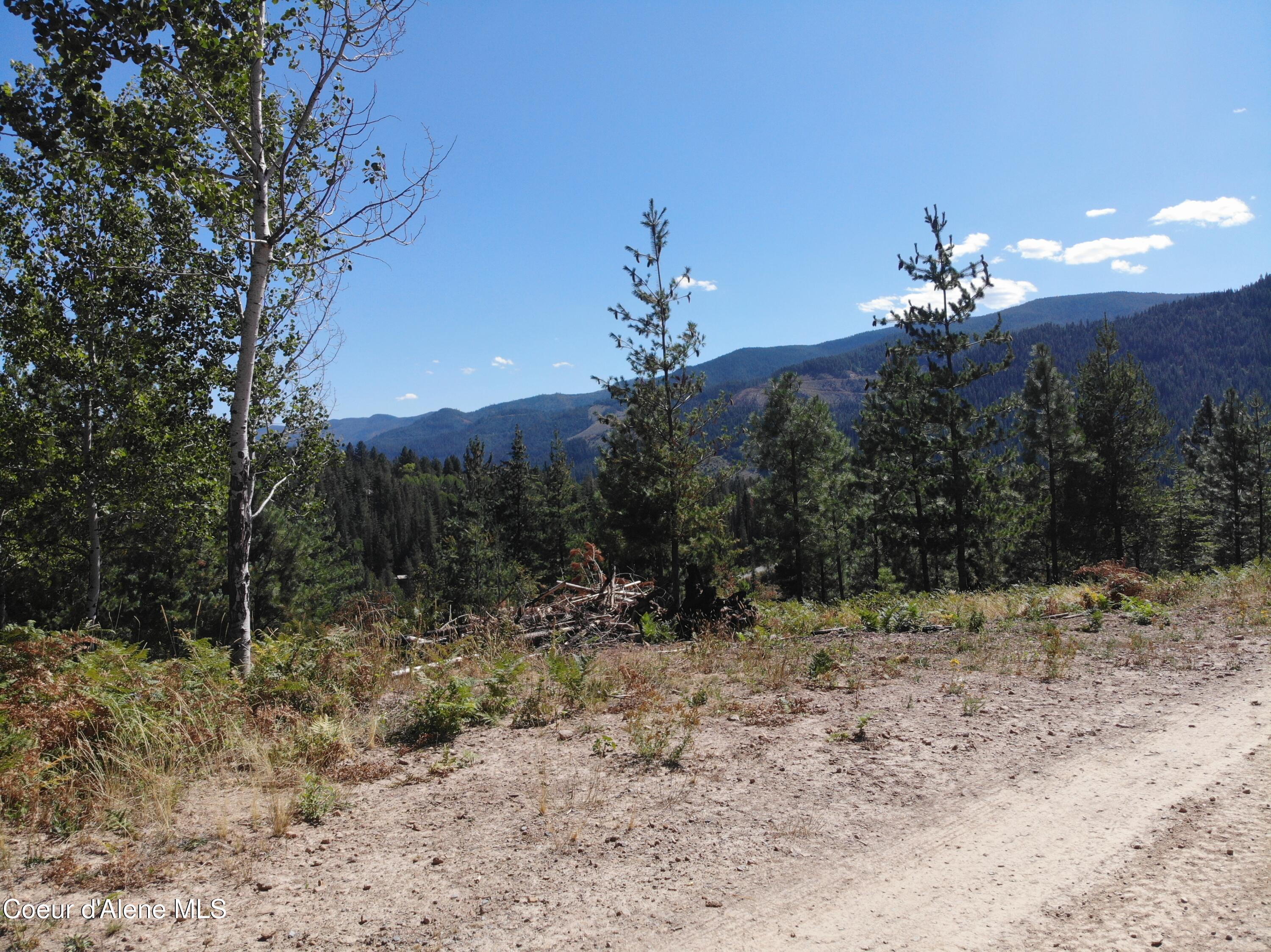 905 Terror Gulch Road Osburn, ID 83849 - Photo 22 of 31 DJI_0411