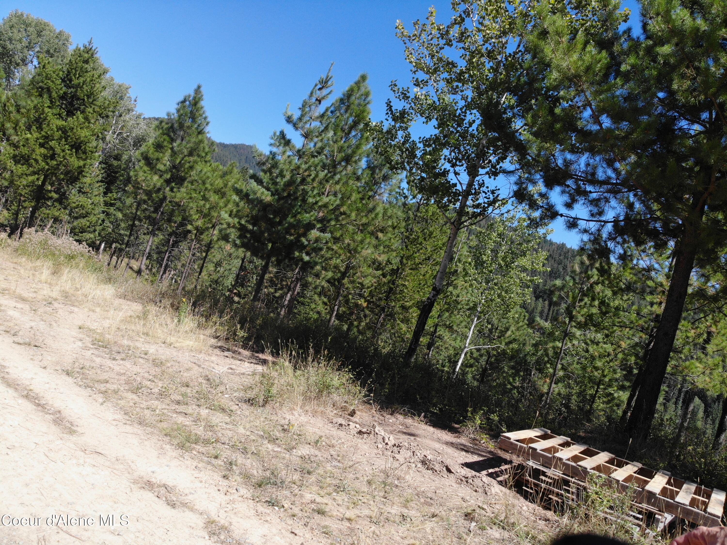 905 Terror Gulch Road Osburn, ID 83849 - Photo 23 of 31 DJI_0412