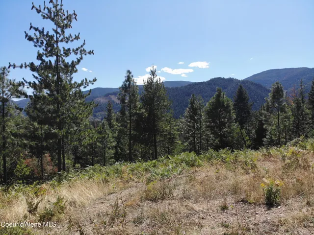 $449,000 | 905 Terror Gulch Road, Osburn, ID 83849
