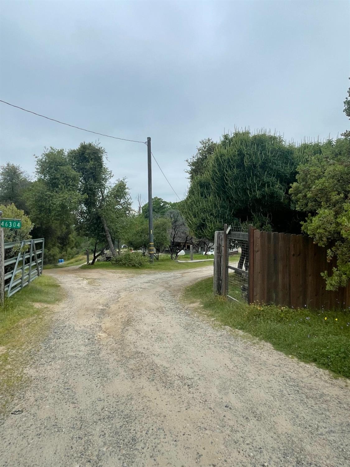 a view of a park with large trees