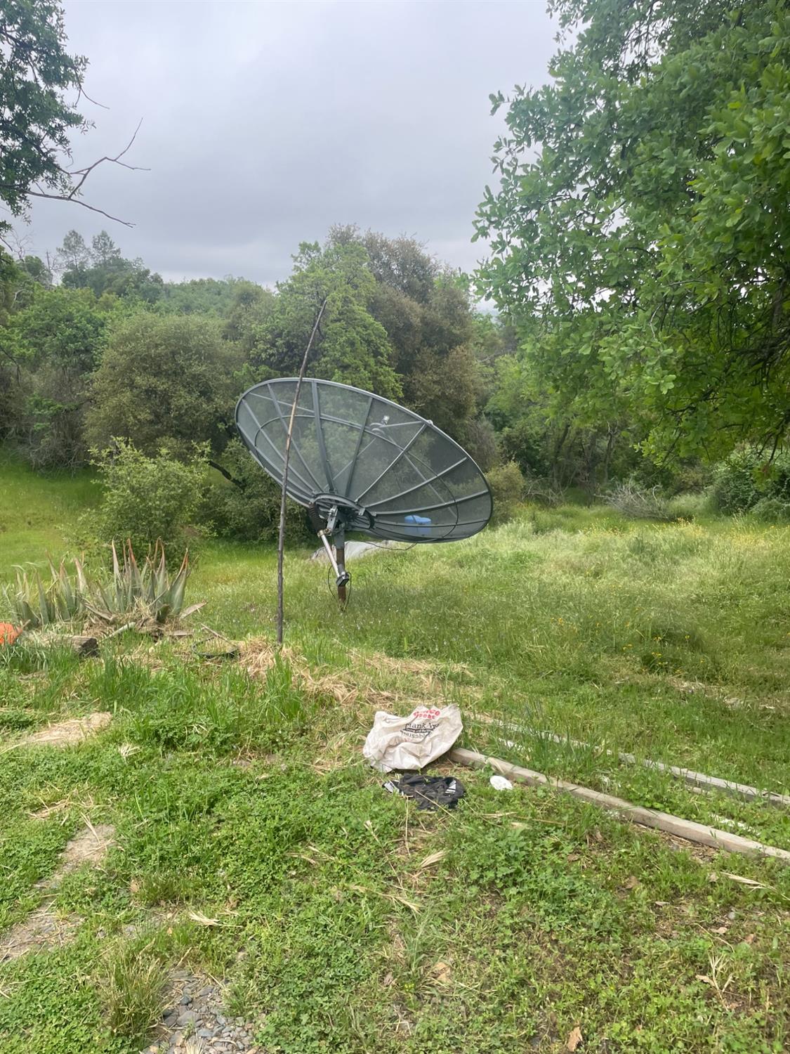 46304 Skyline Ridge Road Coarsegold, CA 93614 - Photo 9 of 12 a swimming pool with wooden fence