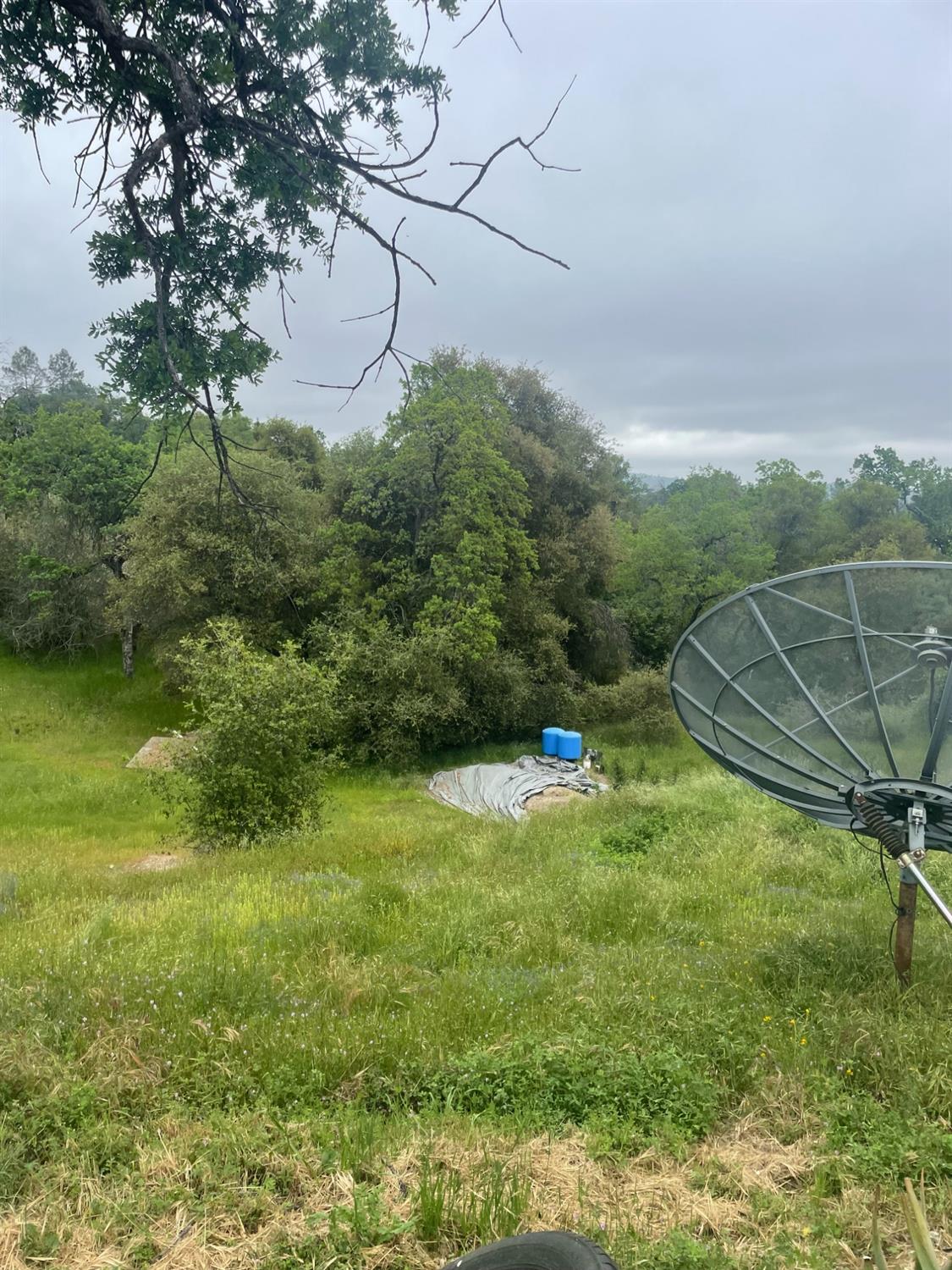 46304 Skyline Ridge Road Coarsegold, CA 93614 - Photo 10 of 12 a backyard of a house with lots of green space
