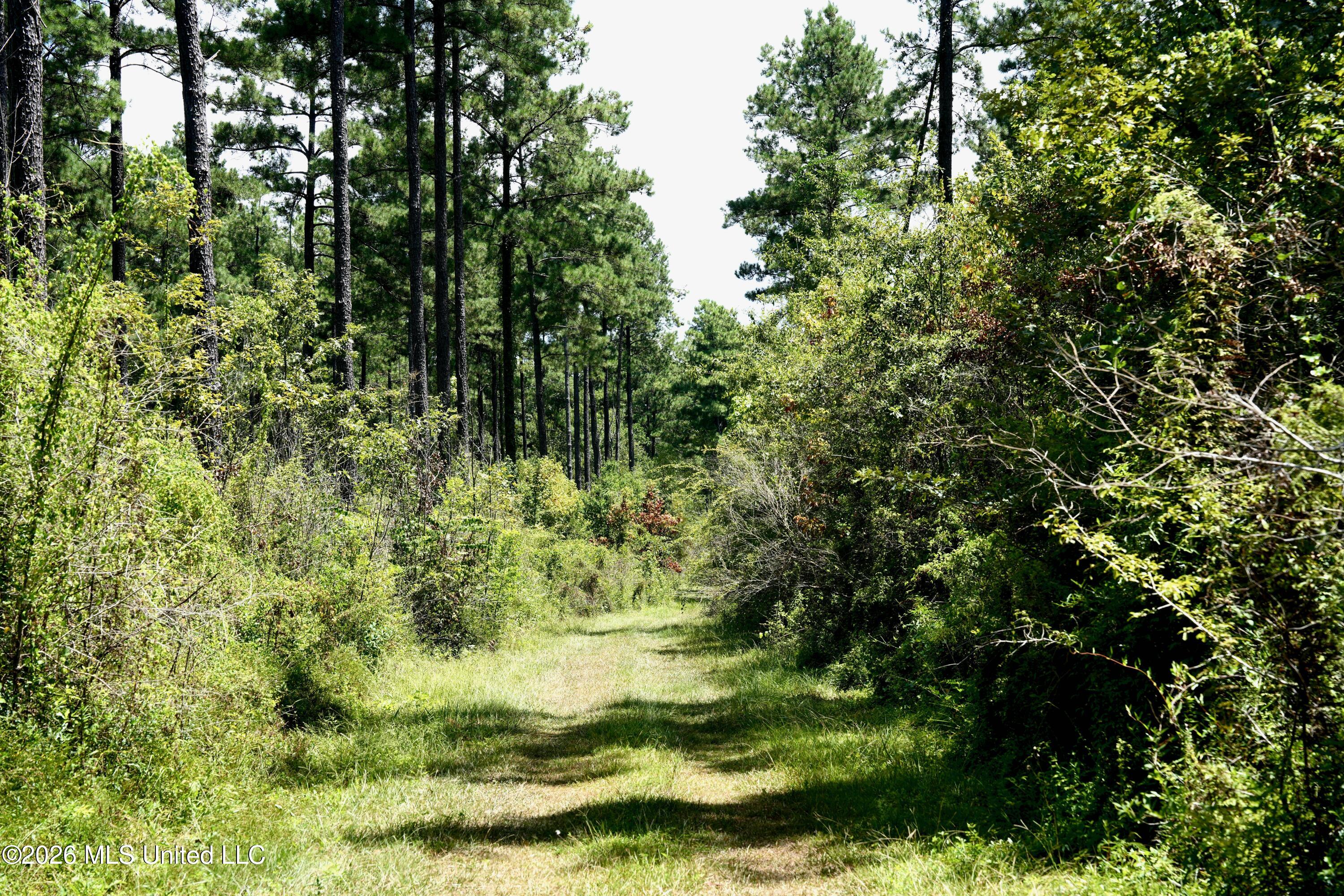 Xxxx Hamp Lea Road Magnolia, MS 39652 - Photo 5 of 48 DSC04196