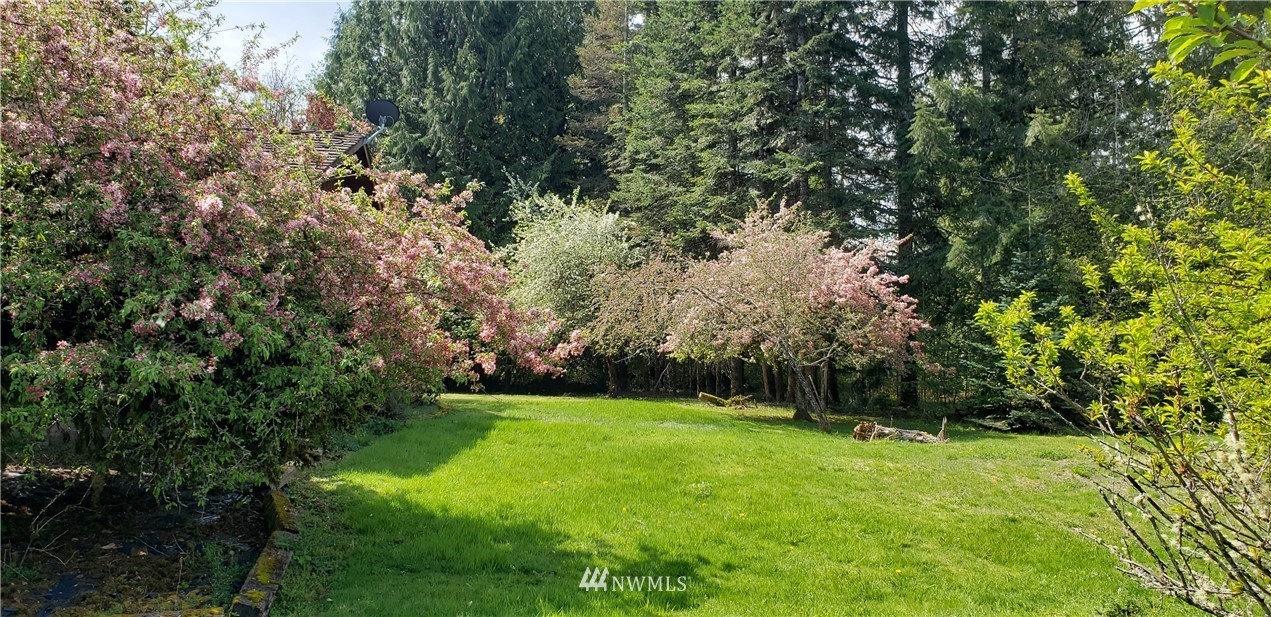 353 Gish Road Onalaska, WA 98570 - Photo 36 of 40 Gallery Image 36