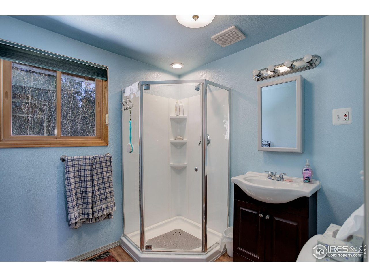 147 Cedar Drive Lyons, CO 80540 - Photo 15 of 37 3/4 bathroom on first floor. Shower, sink, toilet.
