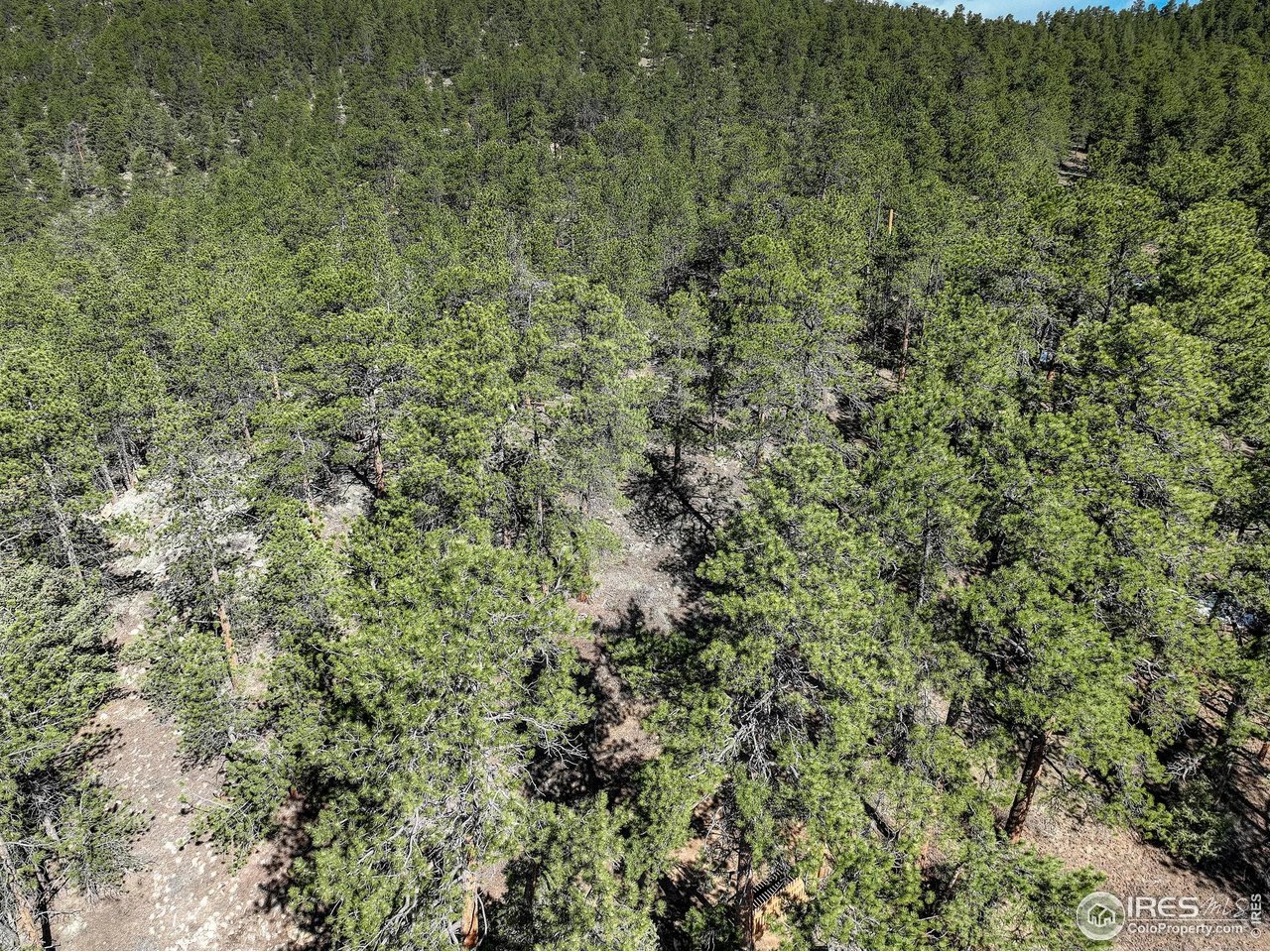147 Cedar Drive Lyons, CO 80540 - Photo 29 of 37 Lots across road (Lot 3 & 4) are also for sale. Inquire with Listing Agent.