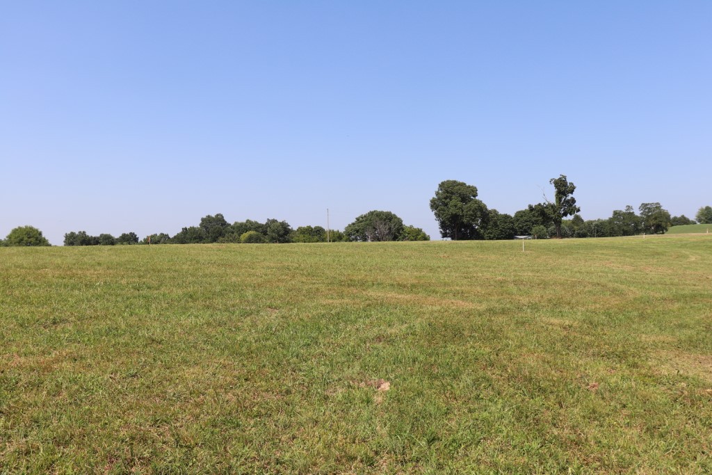 1 Hawkins Road Westmoreland, TN 37186 - Photo 3 of 4 Gallery Image 3