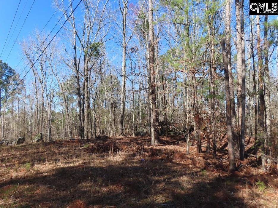 0 Rion Road Winnsboro, SC 29180 - Photo 14 of 42