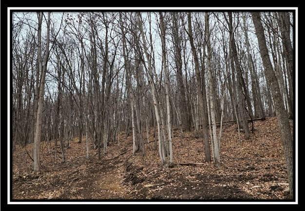 0 Black Run Road, Unit TRACT 8) Chillicothe, OH 45601 - Photo 5 of 47 image005