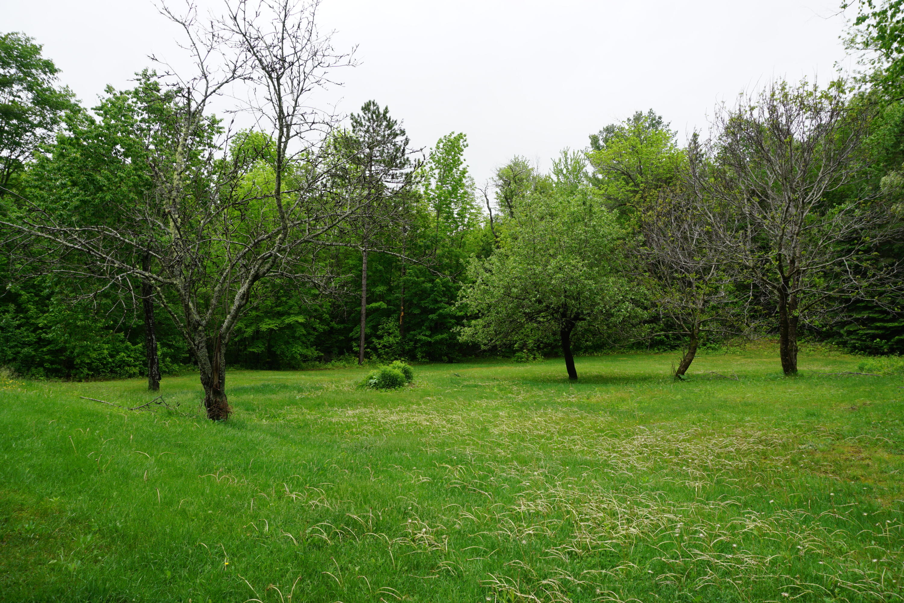 193 Wharff Road Guilford, ME 04443 - Photo 4 of 29 99DBD573-0DCA-4062-B54B-B319D895A218
