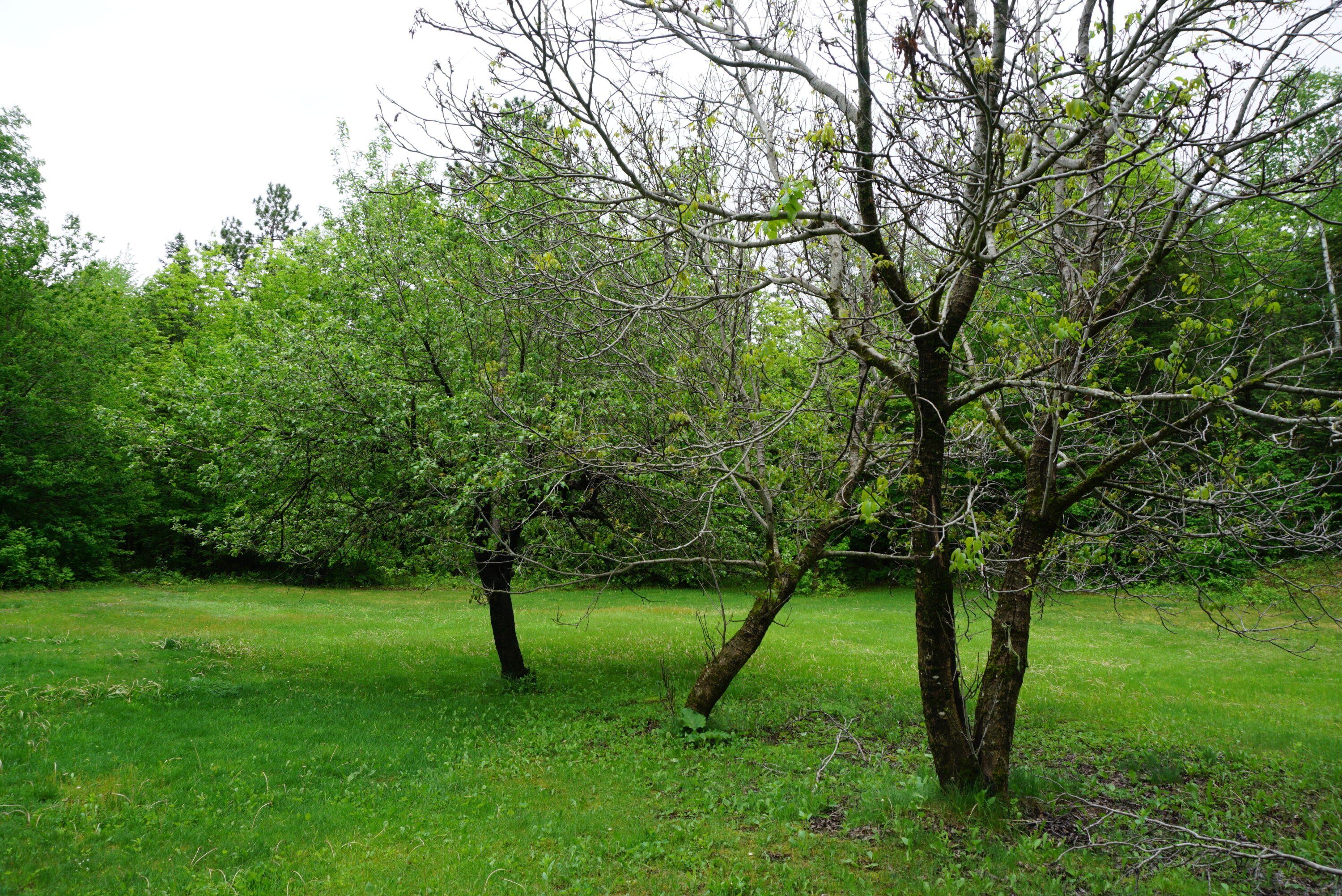 193 Wharff Road Guilford, ME 04443 - Photo 5 of 29 6DF2711F-C776-432D-AC9C-C52578162718