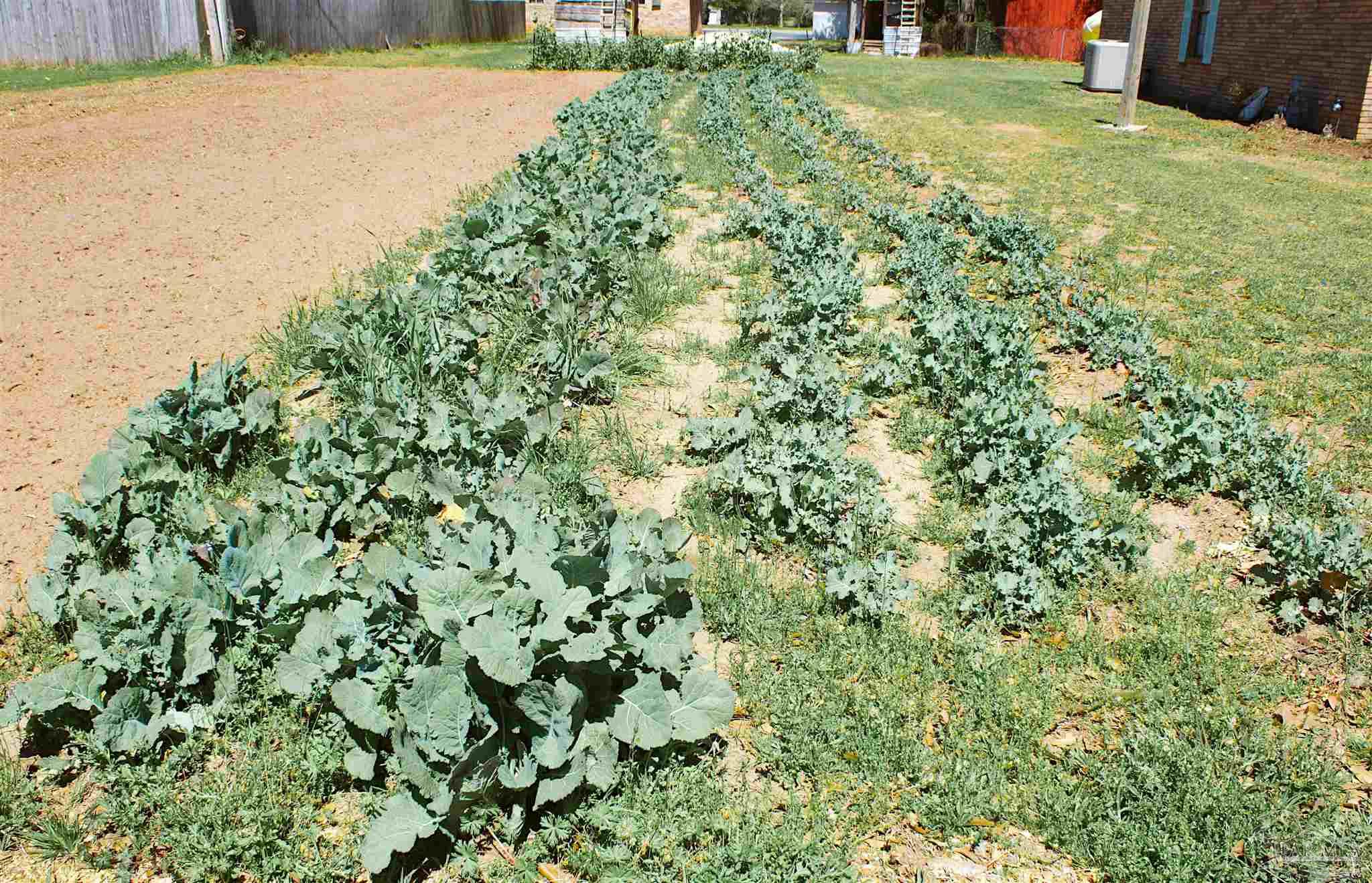 4050 Harrison Avenue Jay, FL 32565 - Photo 3 of 24