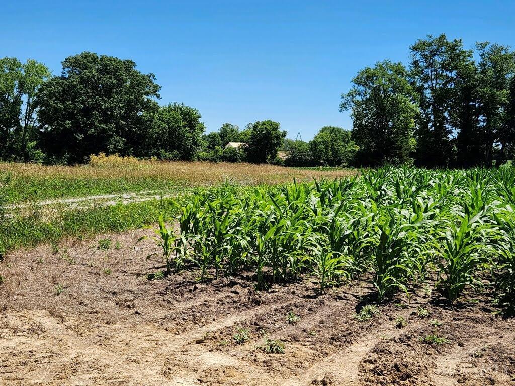 Acres Edgewood Road Harrison, OH 45030 - Photo 14 of 15