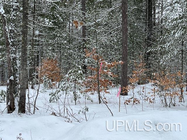 E9281 Powell Lake Road Wetmore, MI 49895 - Photo 44 of 49 Gallery Image 44