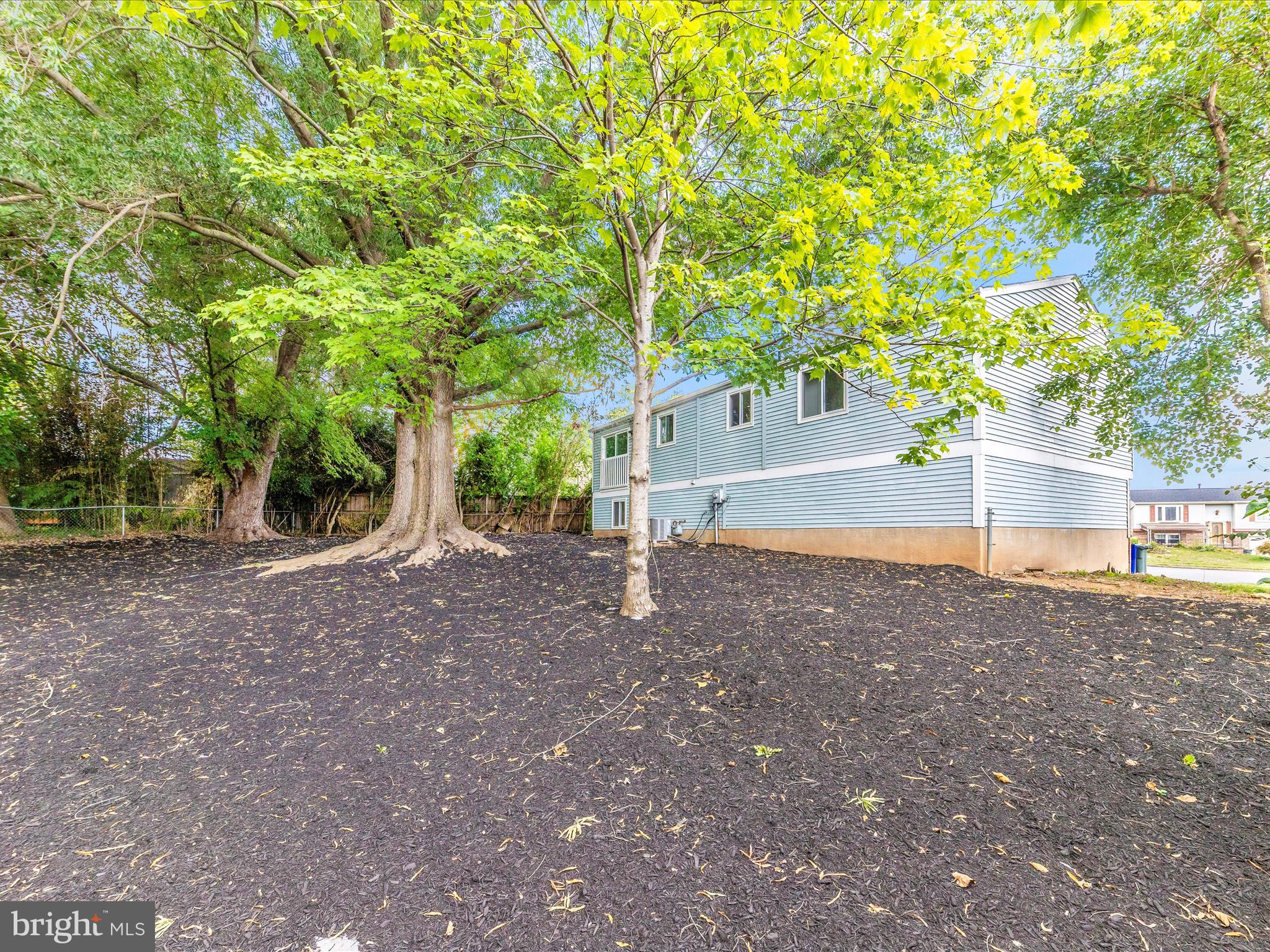 543 Logan Street Frederick, MD 21701 - Photo 43 of 47 IMG_4692