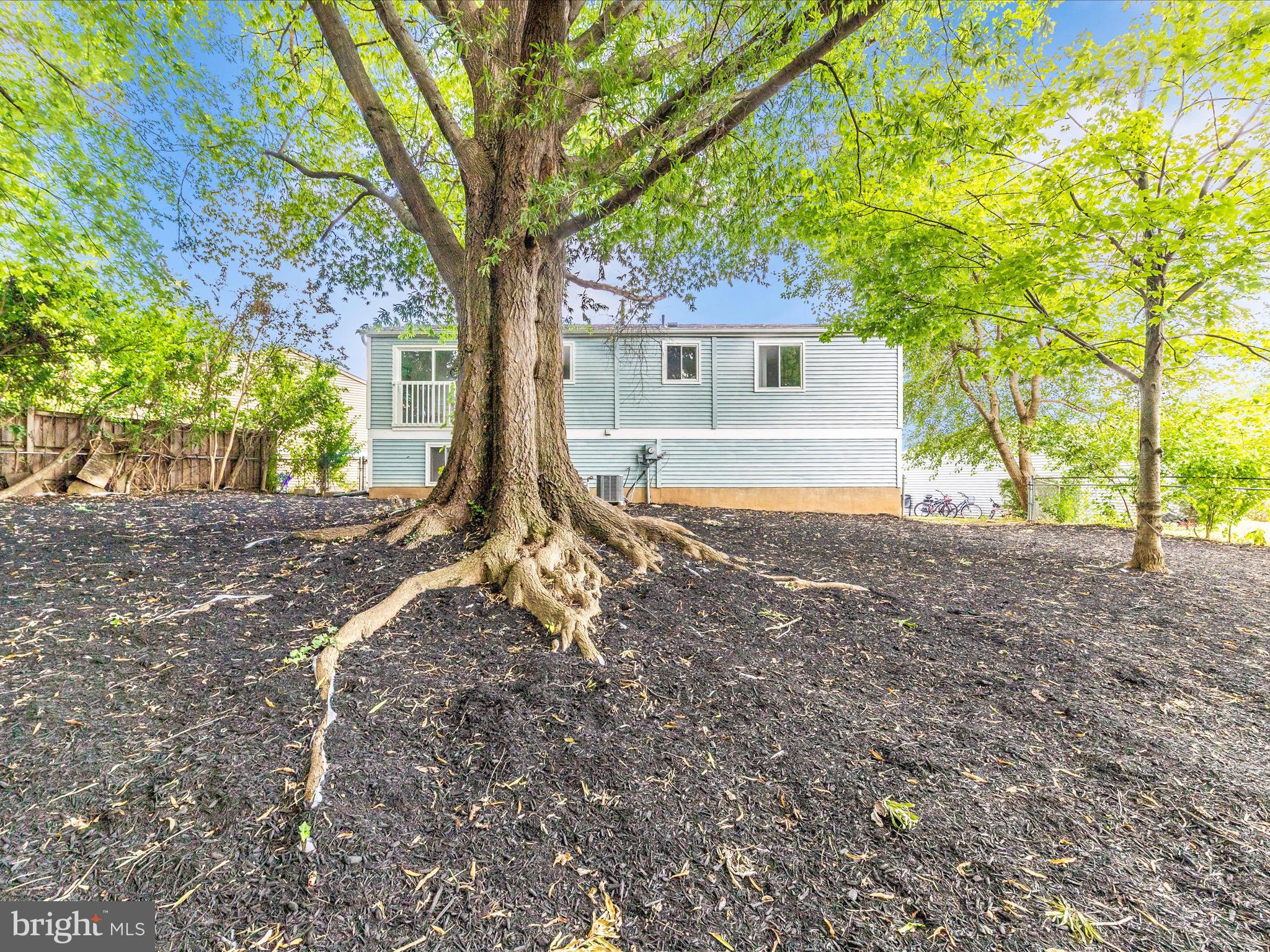 543 Logan Street Frederick, MD 21701 - Photo 45 of 47 IMG_4705