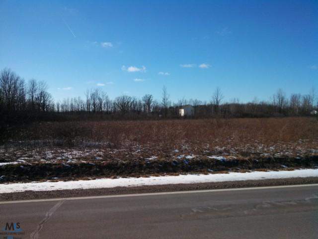 0 Kilgore Rd Ville Avoca, MI 48006 - Photo 2 of 2 This is another view of the property.