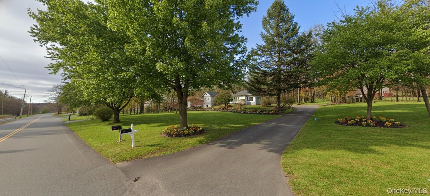 a view of a park with tree s
