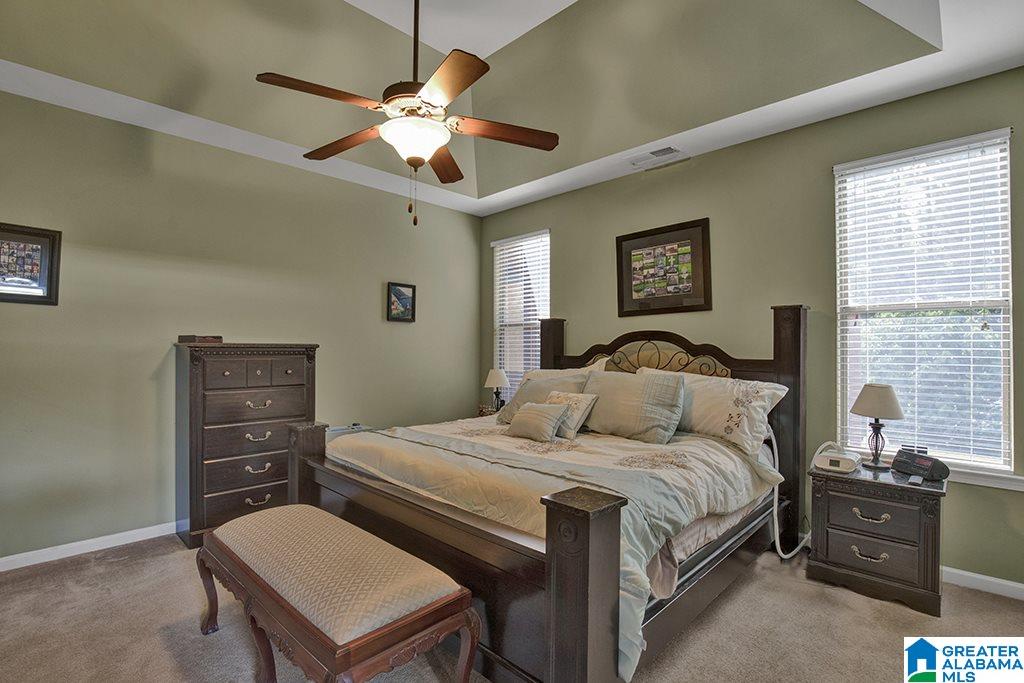 585 Village Springs Lane Springville, AL 35146 - Photo 14 of 22