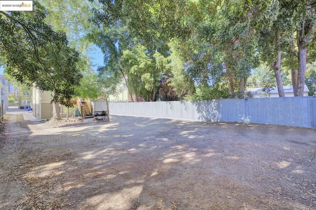 a view of backyard with tree
