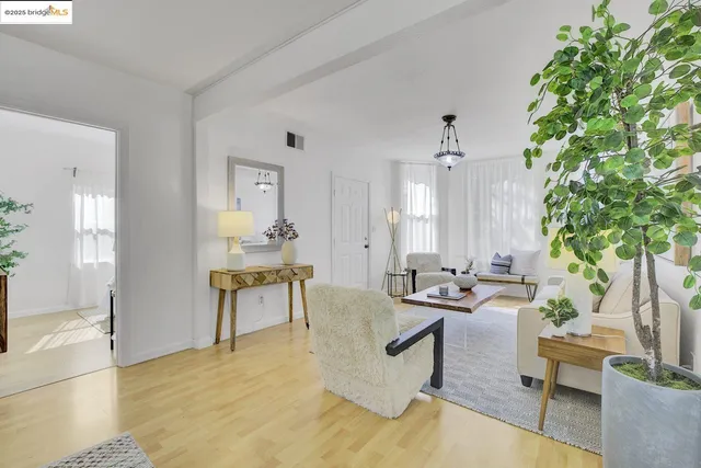 a living room with furniture and a potted plant