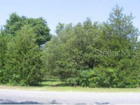 5 Northeast Ginnie Spgs Road High Springs, FL 32643 - Photo 1 of 1