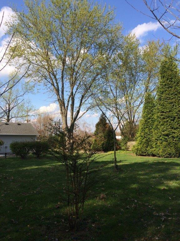 12469 McCrearys Ridge Road Florence, IN 47020 - Photo 11 of 44