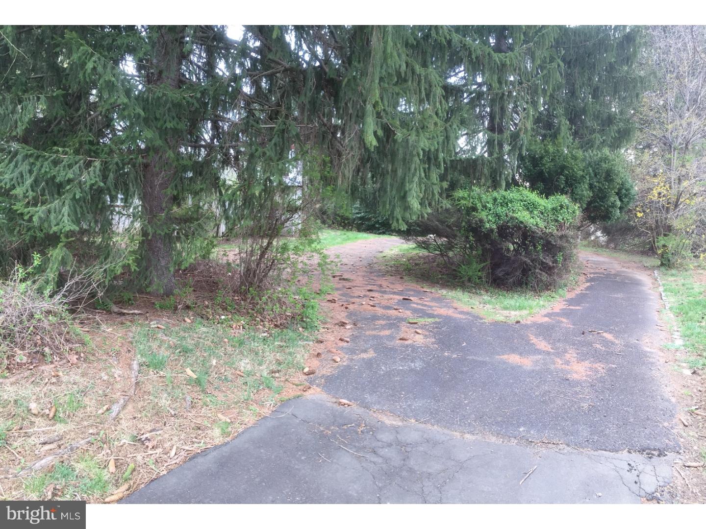 3377 Paper Mill Road Huntingdon Valley, PA 19006 - Photo 2 of 10 Gallery Image 2