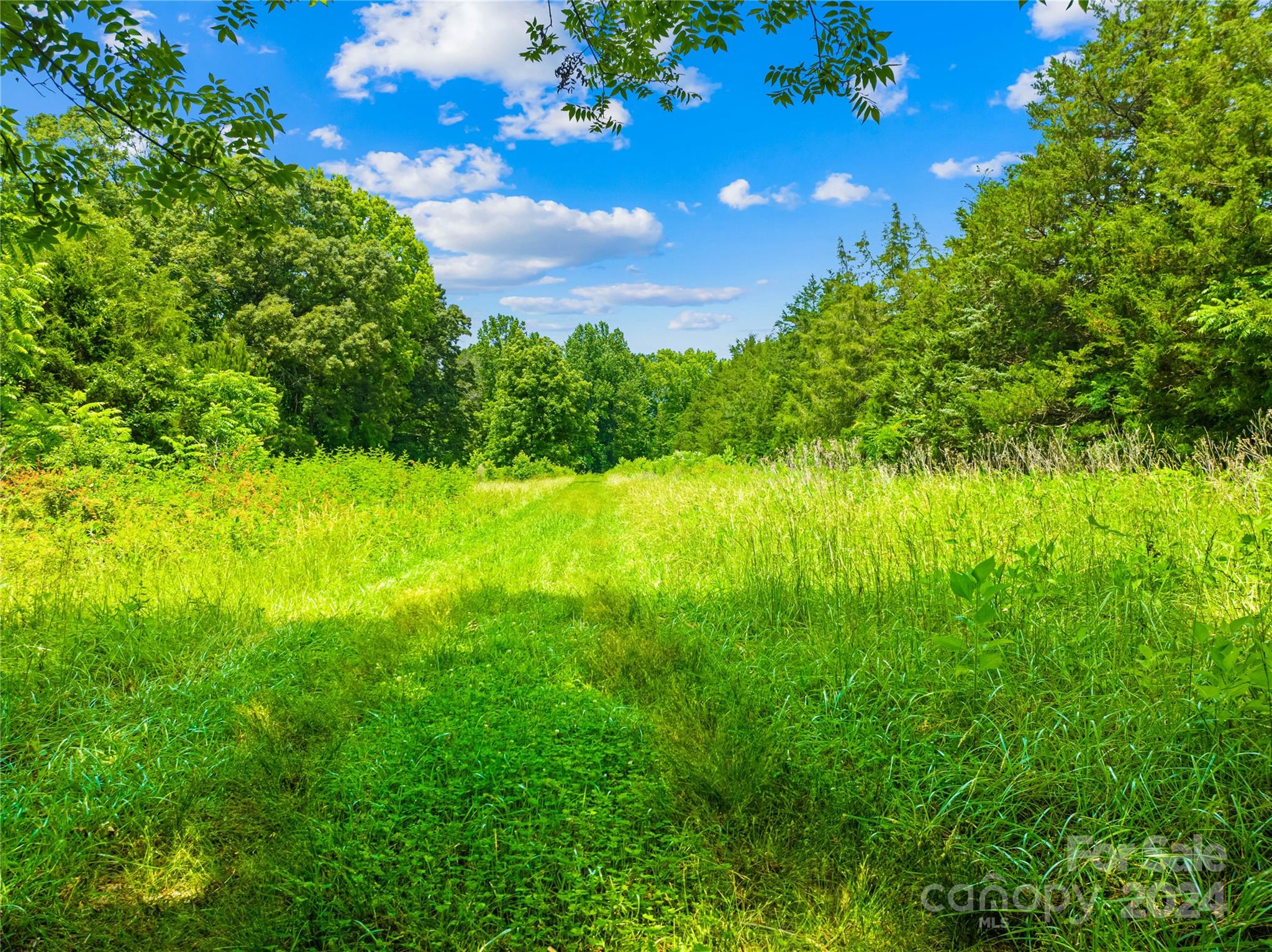 0 Hord Road York, SC 29745 - Photo 19 of 26