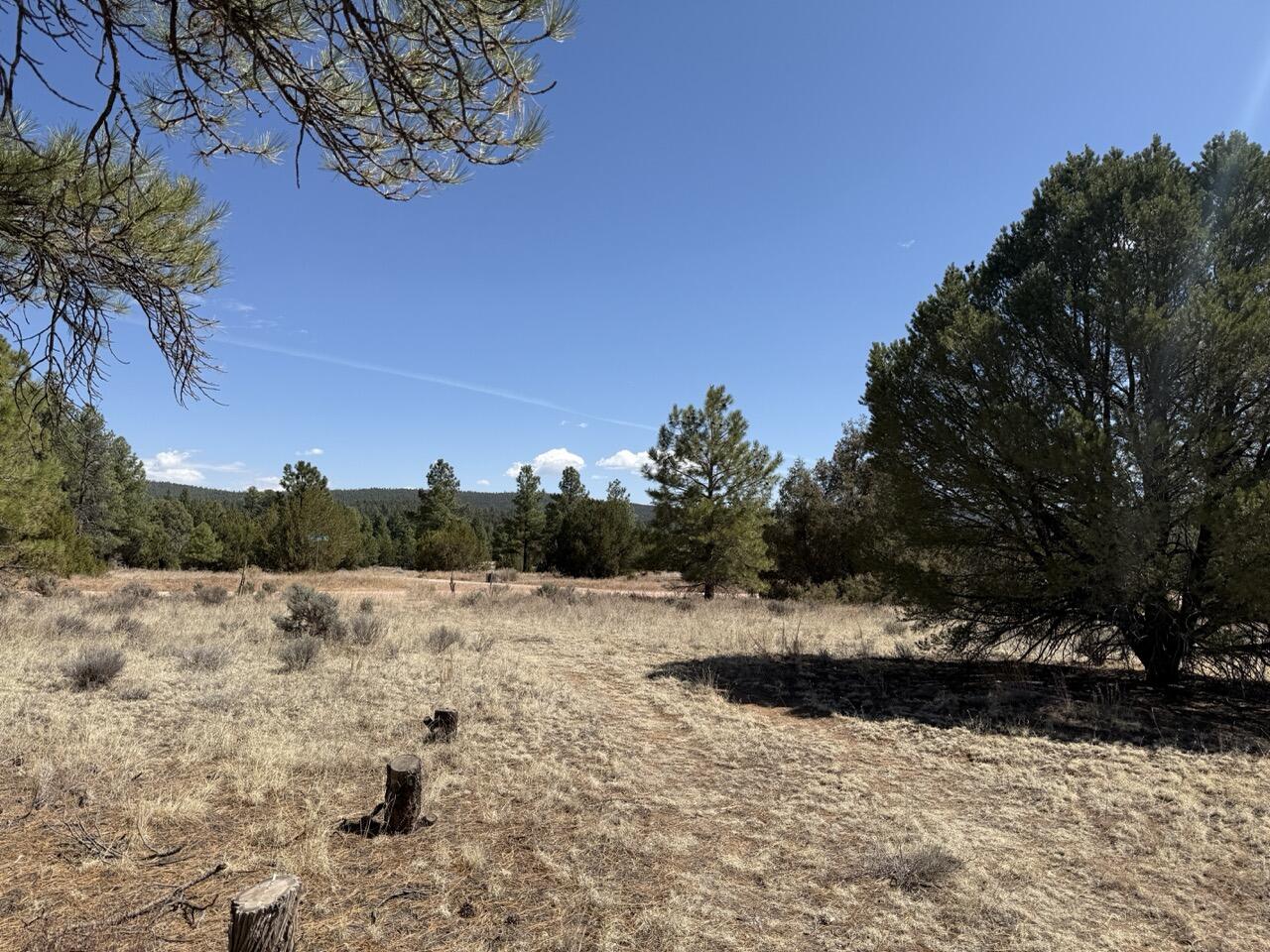 823 Timberlake Road Ramah, NM 87321 - Photo 37 of 47 Gallery Image 37
