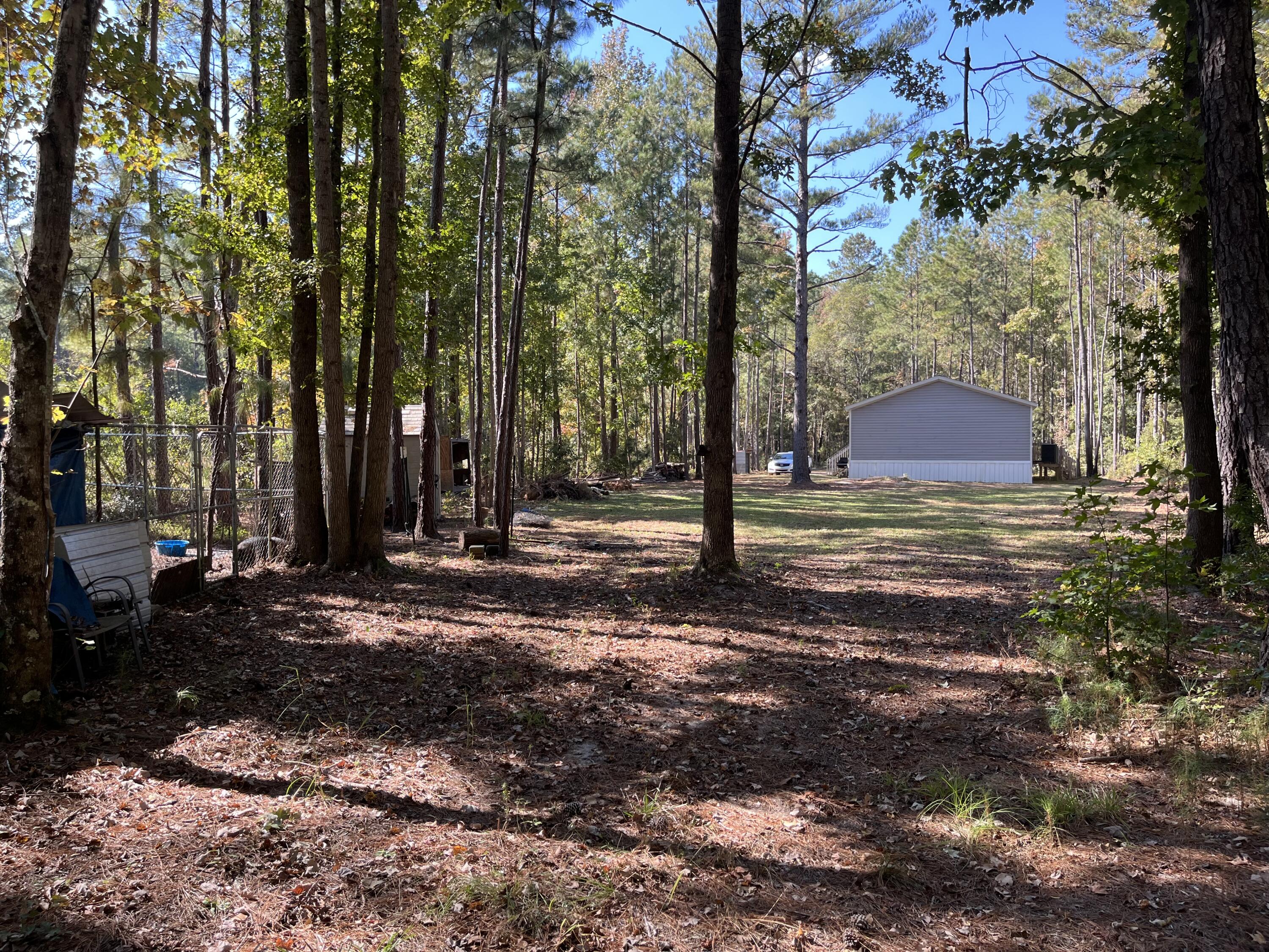 900 Weans Road Walterboro, SC 29488 - Photo 3 of 29 IMG_2774
