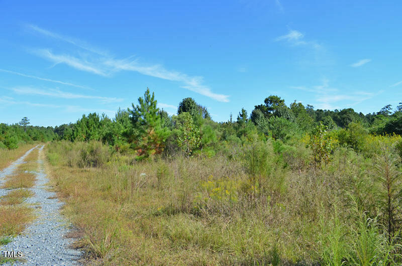 0 Lizzie Mill Road Selma, NC 27576 - Photo 3 of 9 0