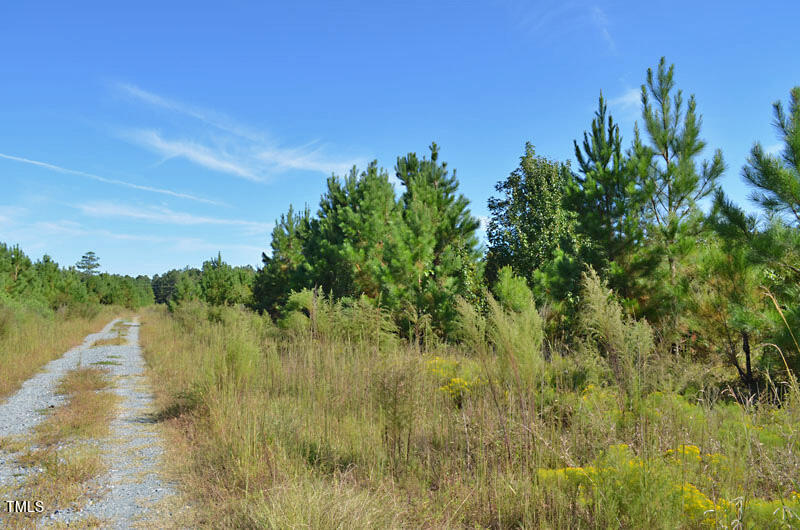 0 Lizzie Mill Road Selma, NC 27576 - Photo 4 of 9 1