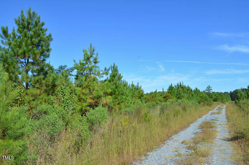 0 Lizzie Mill Road Selma, NC 27576 - Photo 5 of 9 2