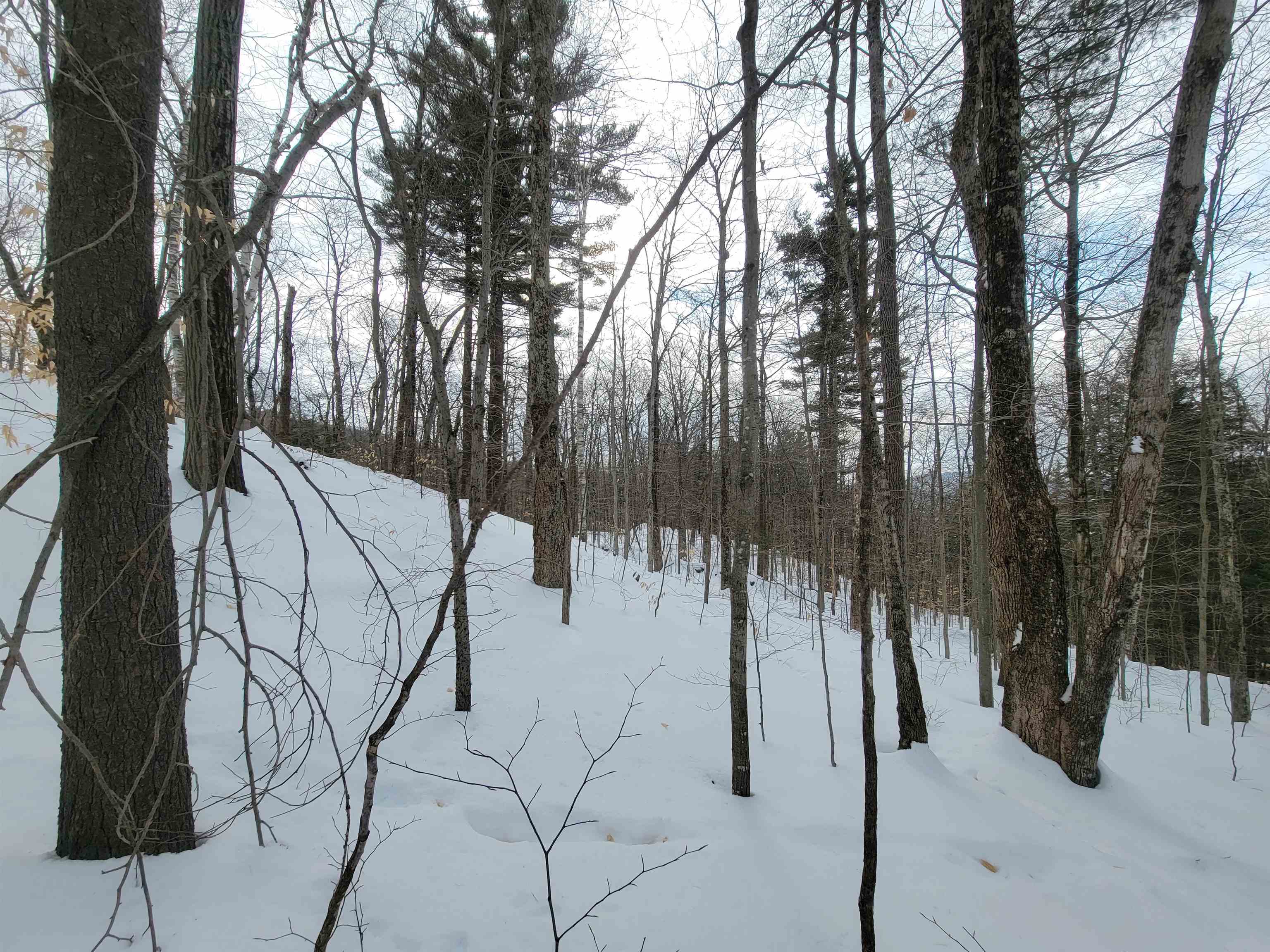 0 Odonnel Farm Road, Unit LOT G2 Sharon, VT 05065 - Photo 11 of 19