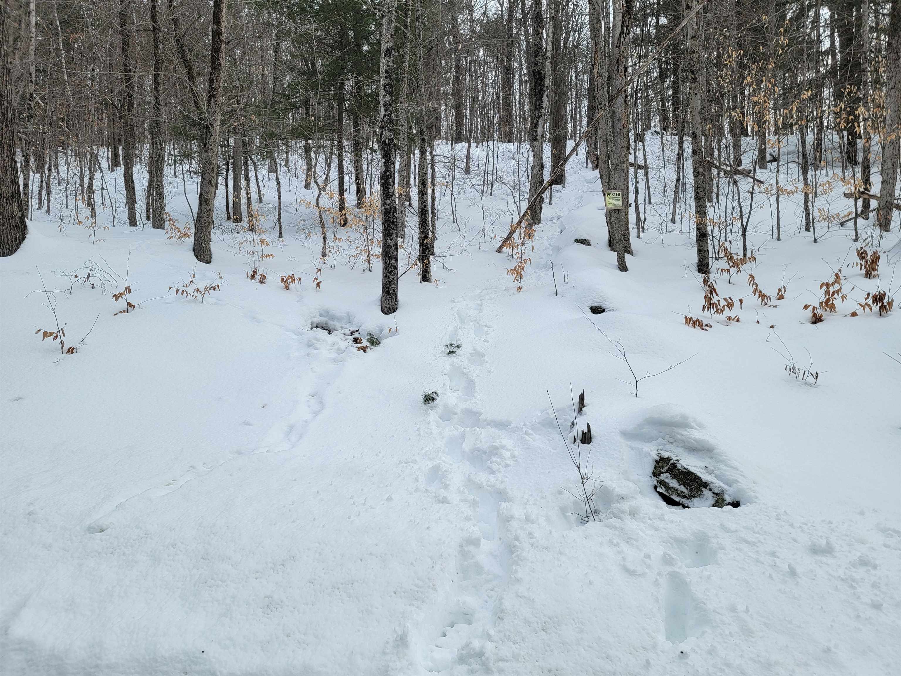 0 Odonnel Farm Road, Unit LOT G2 Sharon, VT 05065 - Photo 14 of 19
