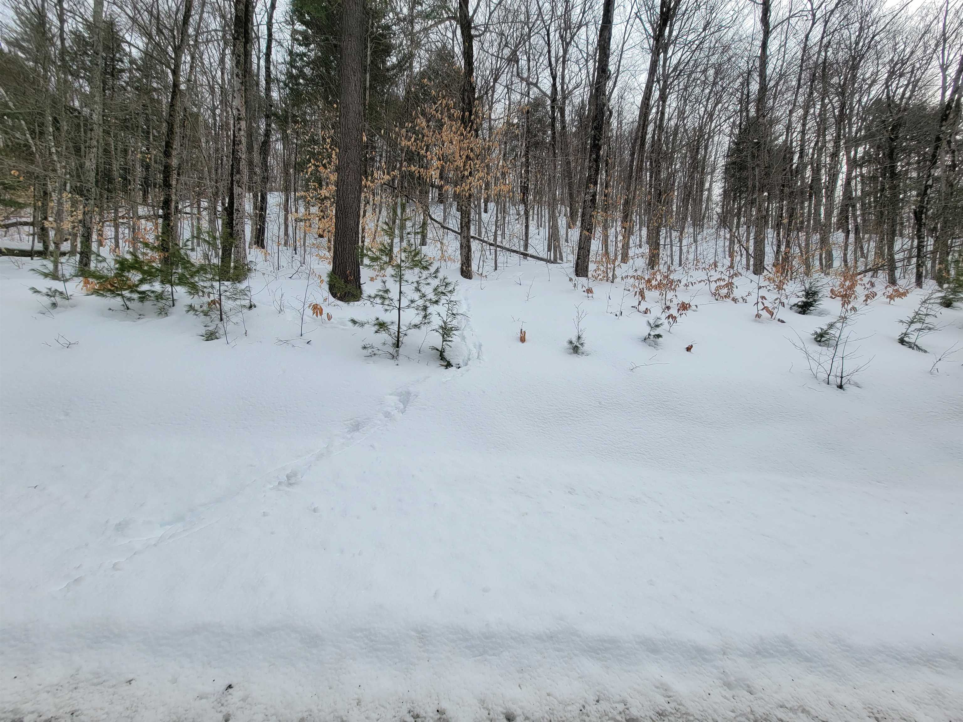 0 Odonnel Farm Road, Unit LOT G2 Sharon, VT 05065 - Photo 17 of 19