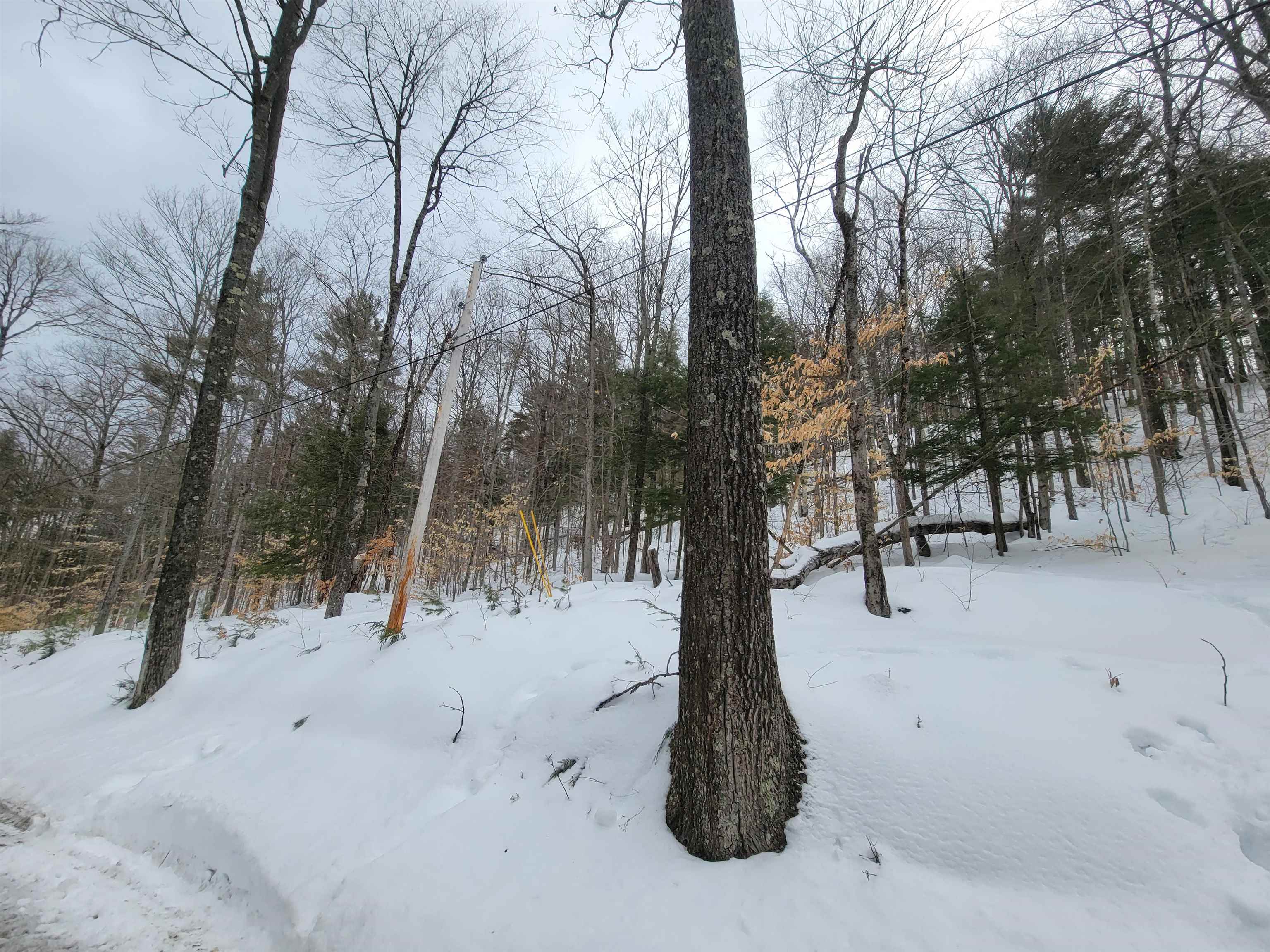 0 Odonnel Farm Road, Unit LOT G2 Sharon, VT 05065 - Photo 18 of 19