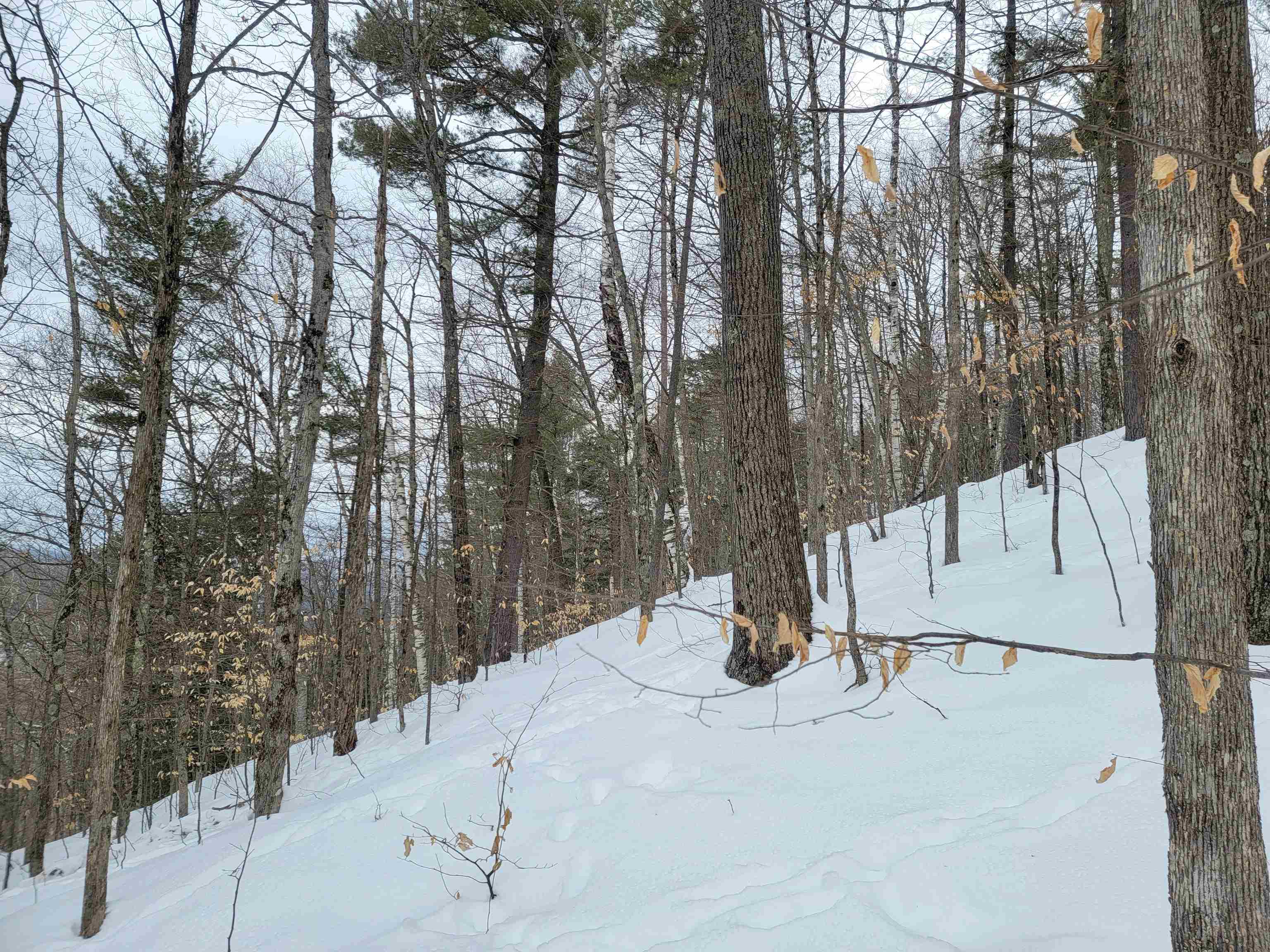 0 Odonnel Farm Road, Unit LOT G2 Sharon, VT 05065 - Photo 7 of 19