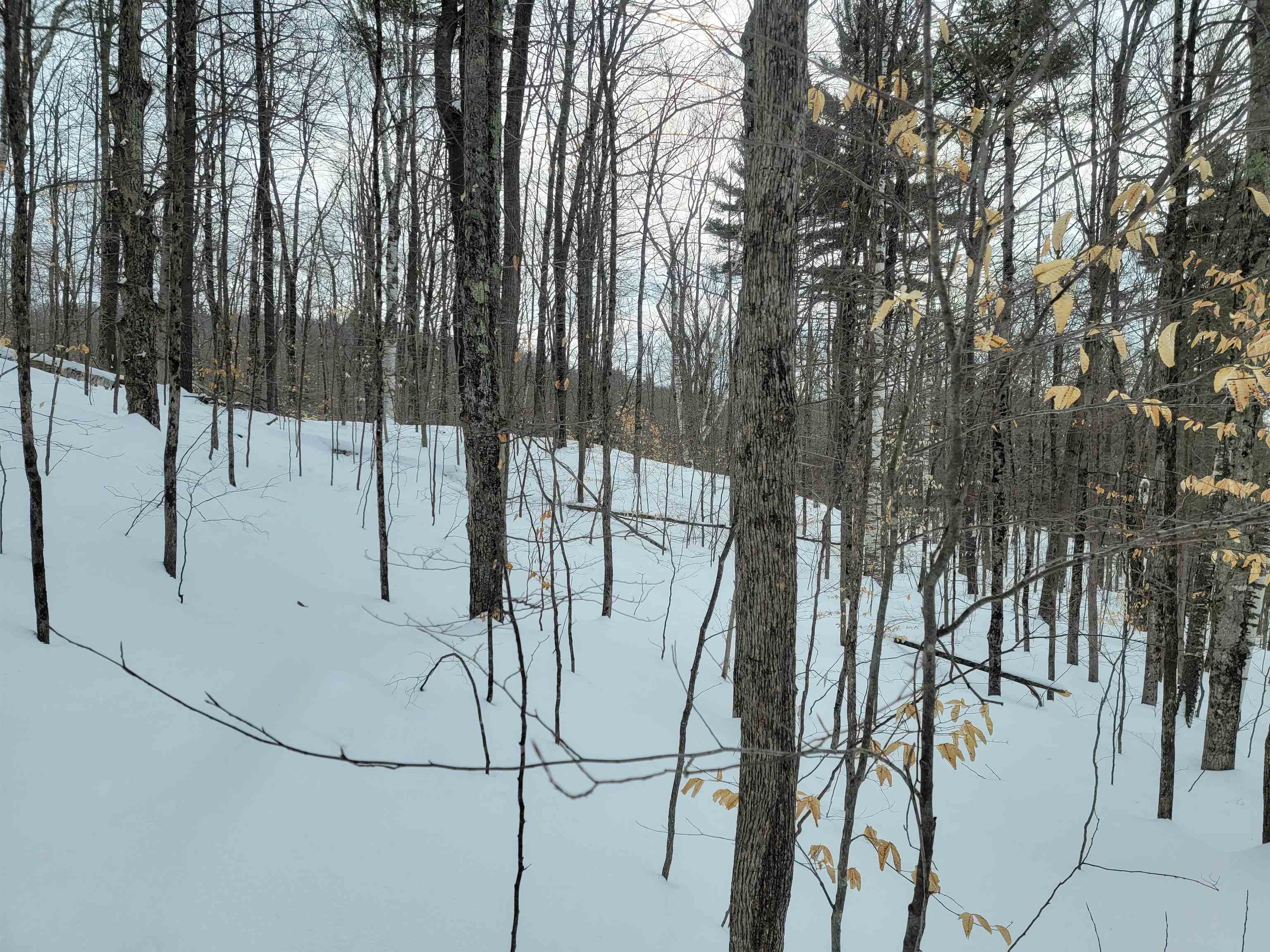 0 Odonnel Farm Road, Unit LOT G2 Sharon, VT 05065 - Photo 8 of 19