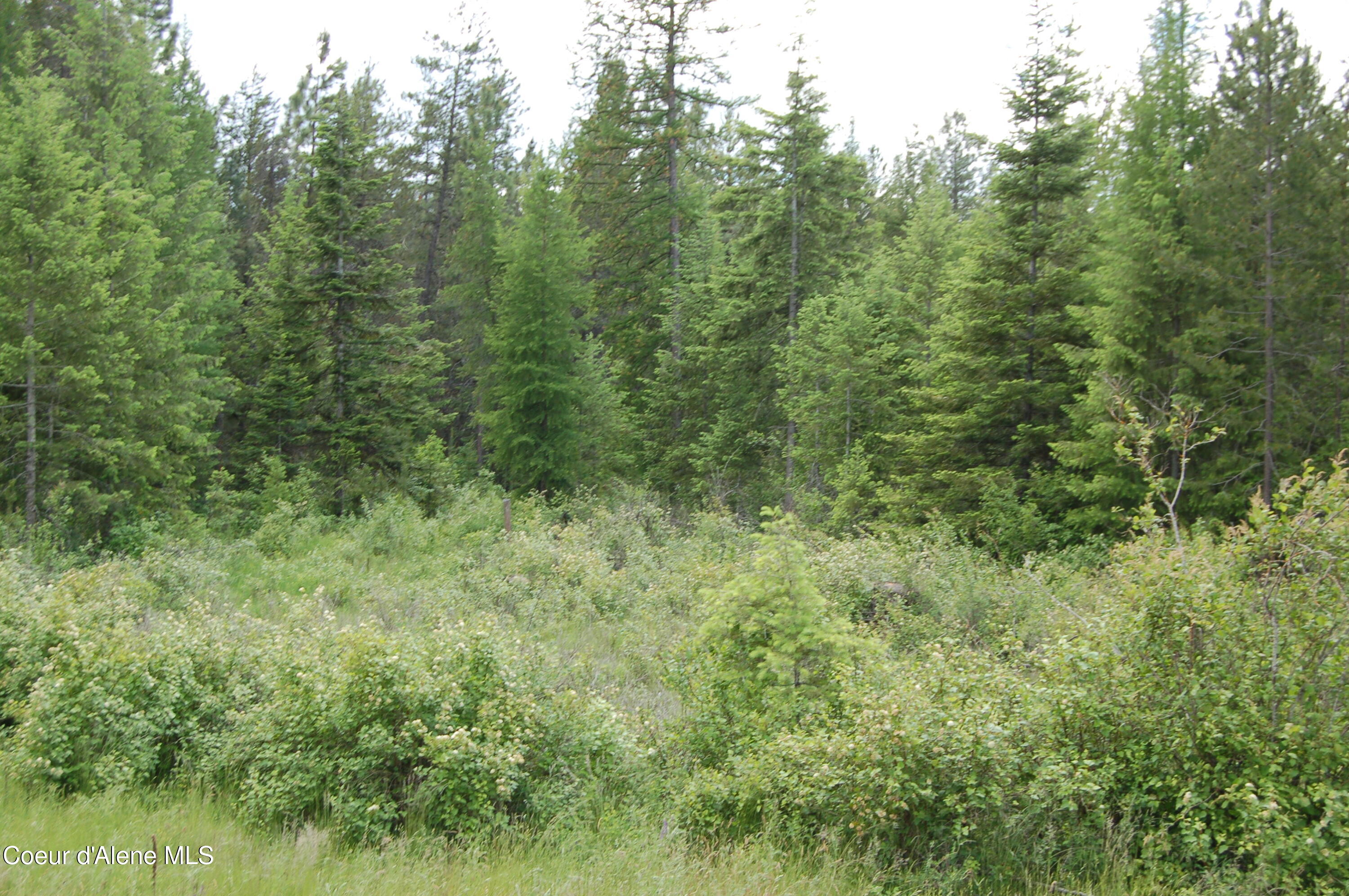 Good Hope Road Athol, ID 83801 - Photo 5 of 5 Near Farragut State Park