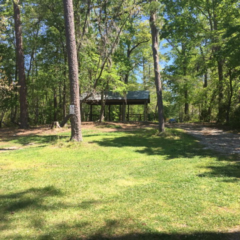 Lot 25 Lot Road Bath, NC 27808 - Photo 8 of 8 Additional Photo