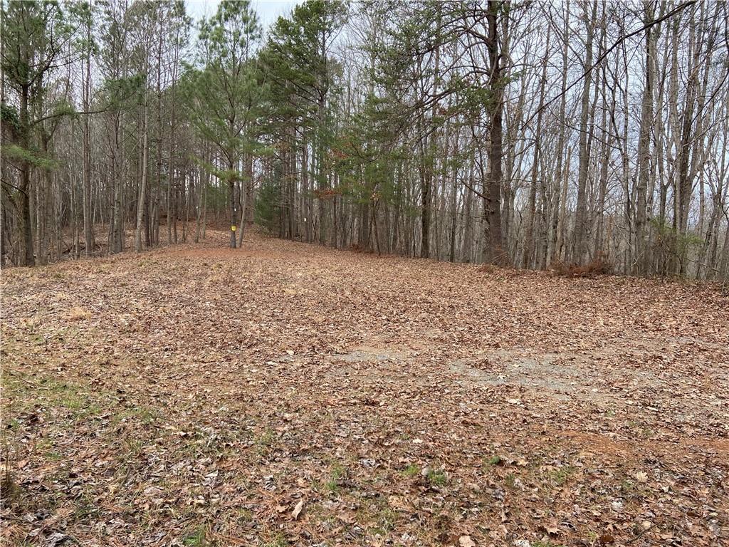 300 Old Berean Road Ellijay, GA 30540 - Photo 1 of 1 Gallery Image 1