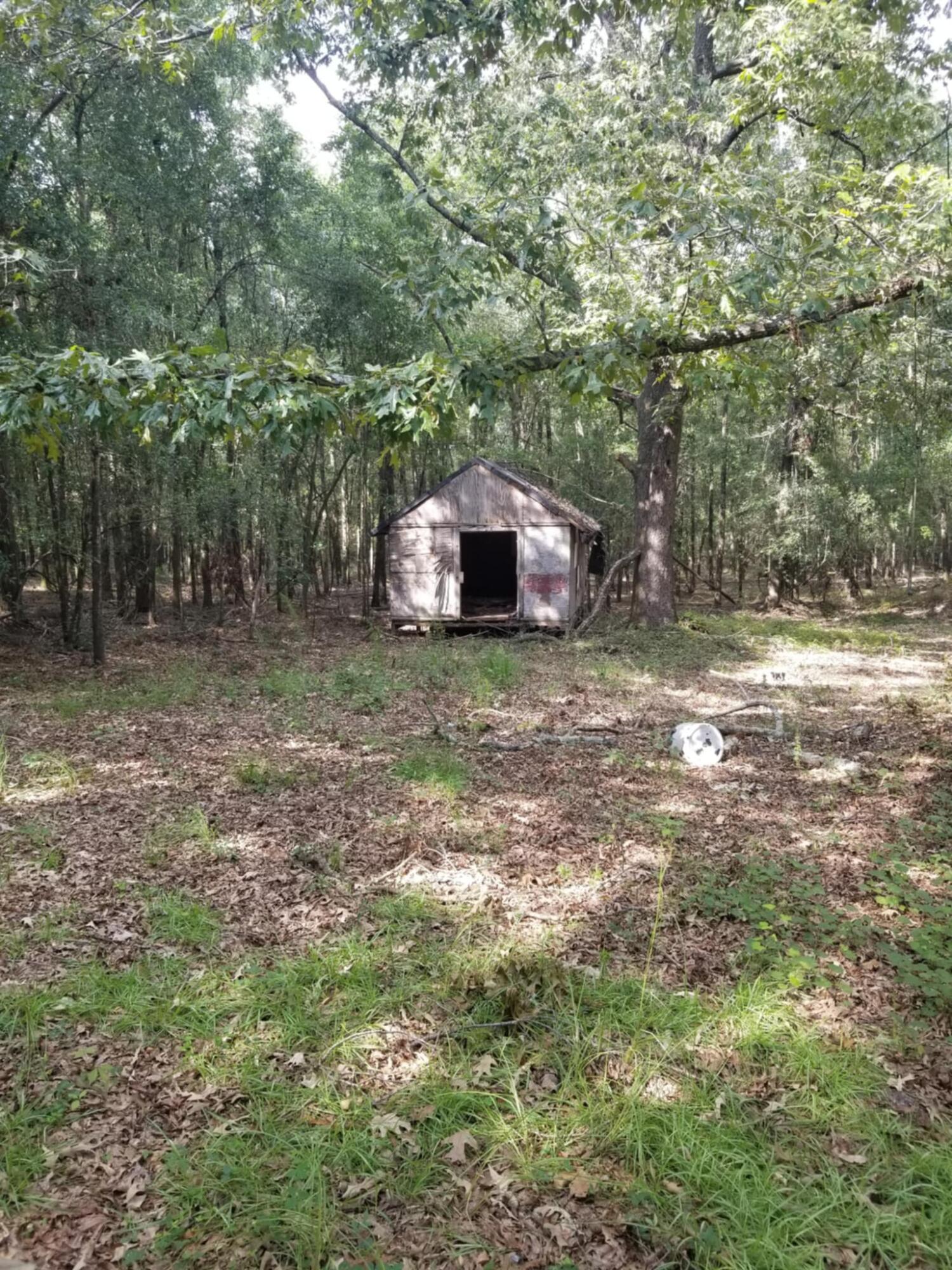0 River Road Waynesboro, GA 30830 - Photo 3 of 15 clearing on land