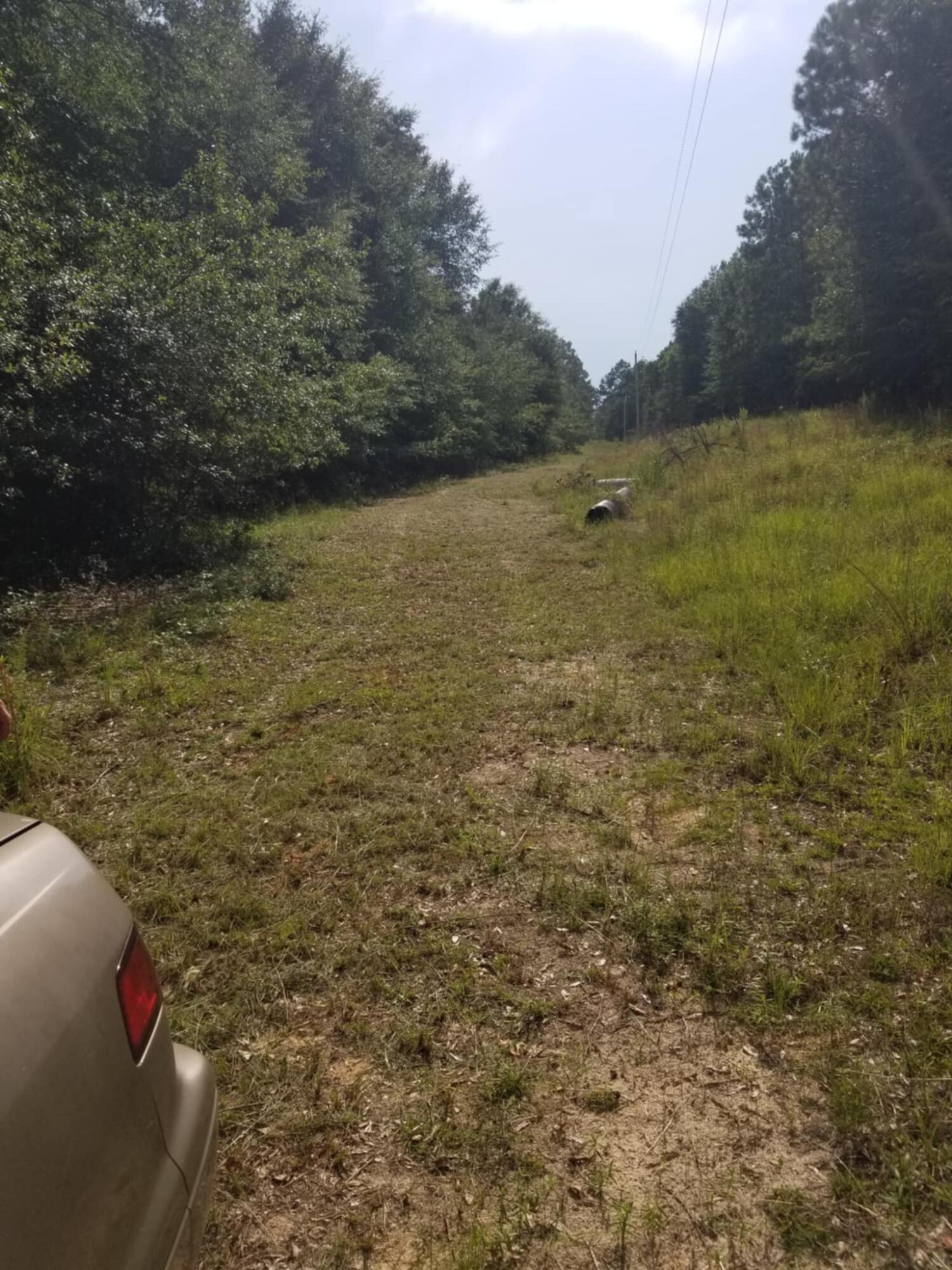 0 River Road Waynesboro, GA 30830 - Photo 7 of 15 driveway to property