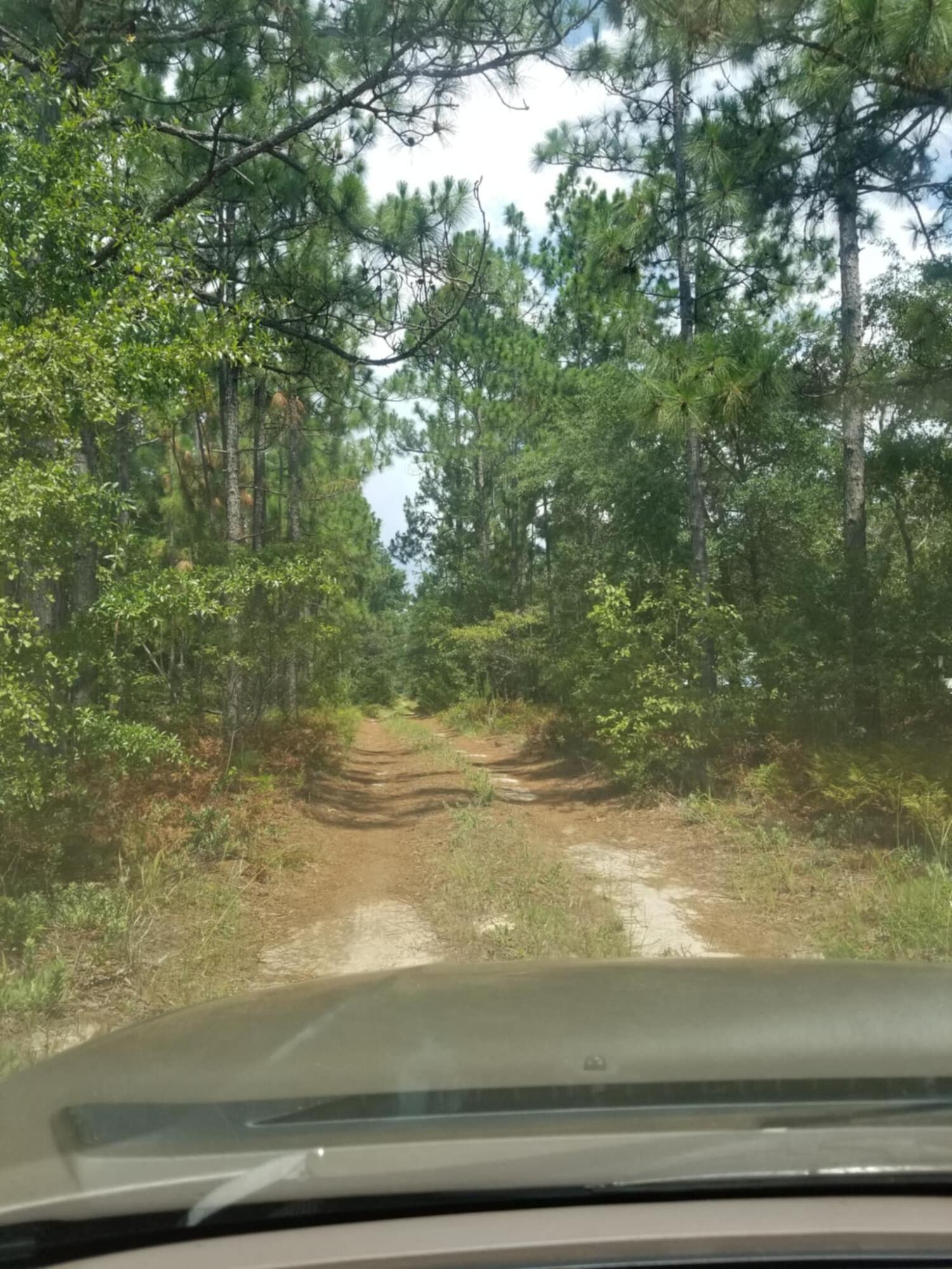 0 River Road Waynesboro, GA 30830 - Photo 9 of 15 Messenger_creation_0BB8EF0E-797D-4B62-A1