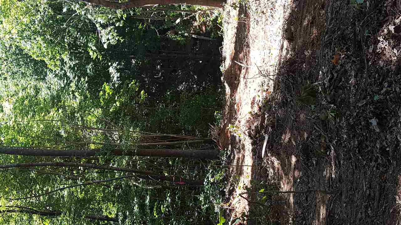 2607 Wade Avenue Raleigh, NC 27607 - Photo 2 of 3 Photo 2