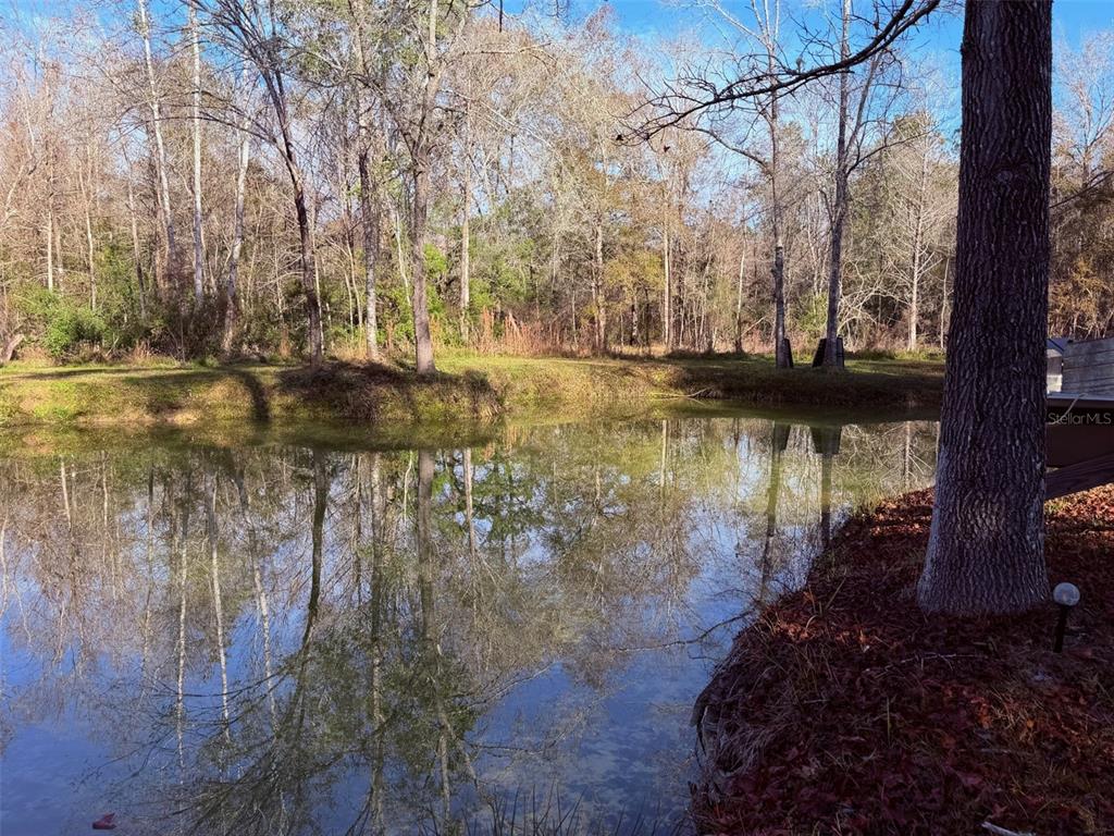 Off Northwest 10th Street Chiefland, FL 32626 - Photo 4 of 19